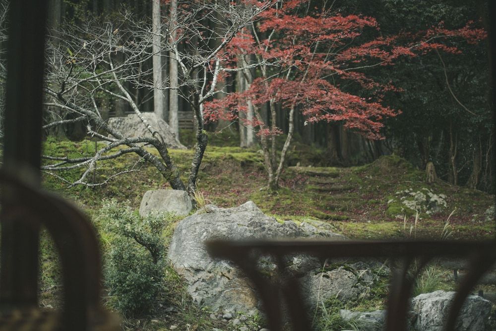YAMAZAKURA (with Meditation Experience), Non Smoking