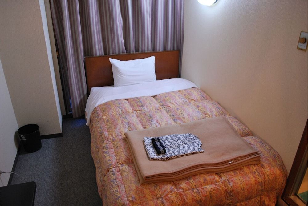Business Hotel Nakayama Single Room 2