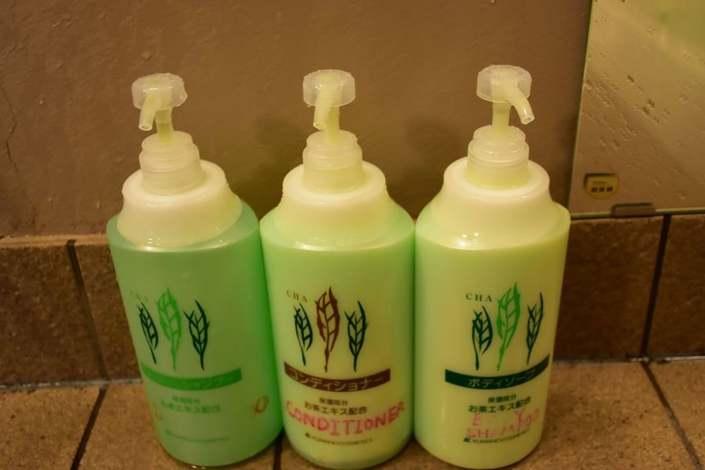 undefined Ryokan Shimizu 10