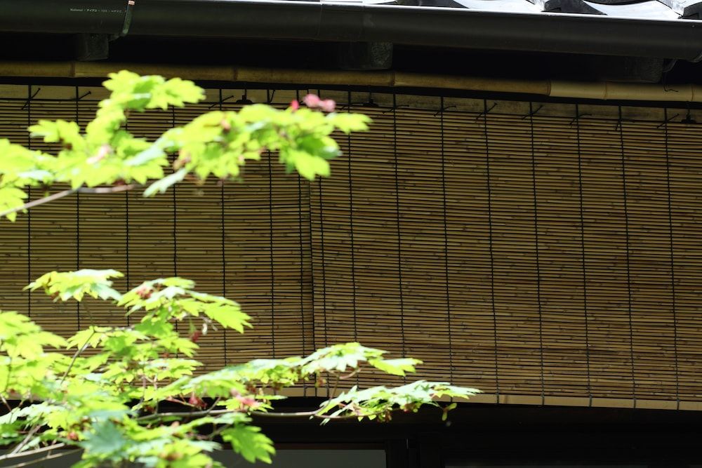 undefined HANARé Kyoto 4