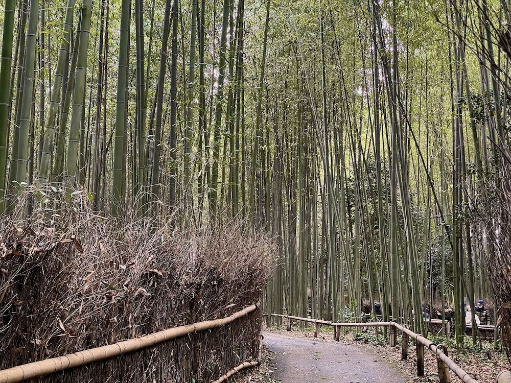 undefined YADO Arashiyama 9