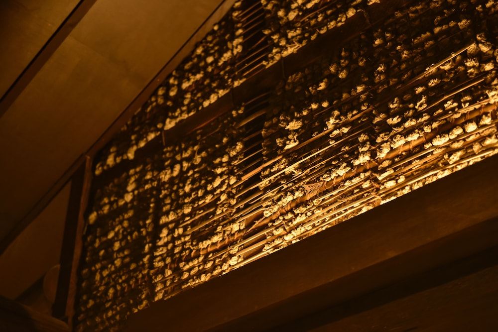 Rinn Premium Machiya Townhouse Kunpu Japanese Style Townhouse (1-6 People) 4