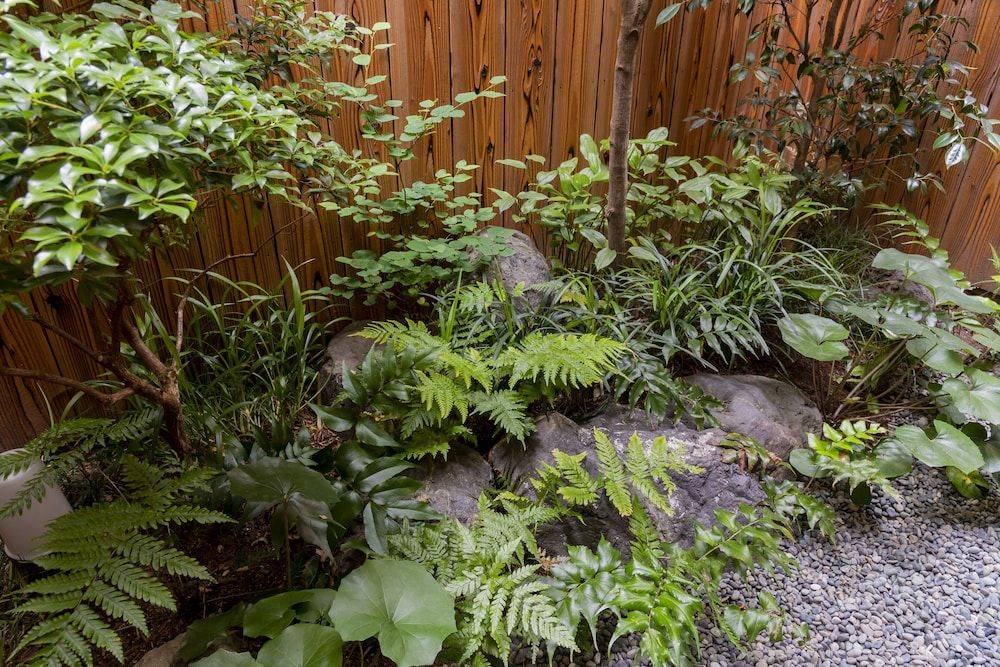 undefined Ichijyo-Karin 4