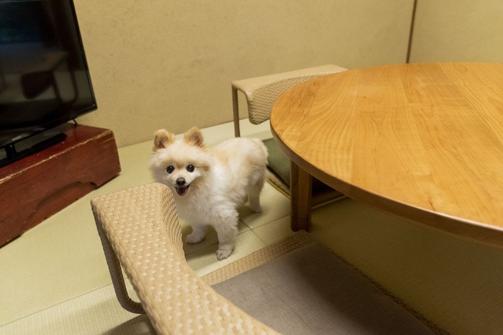 undefined Ichijyo-Karin 7