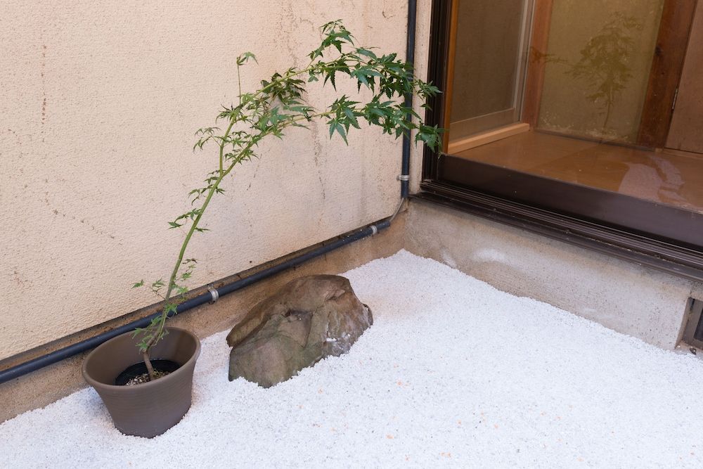 undefined Kyo-koyado Komorebi 3