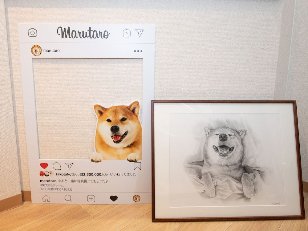 undefined Marugott Hotel 9