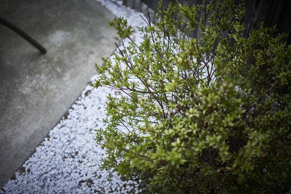 undefined Kitano Tenmangu 2