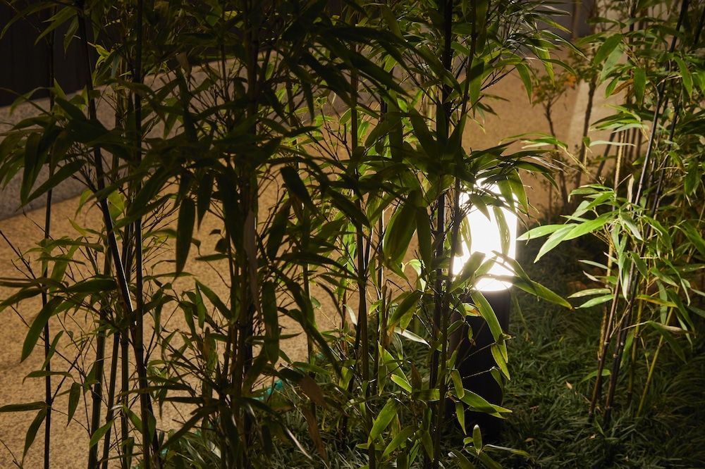 undefined Rinn Shijo Nishinotoin 4