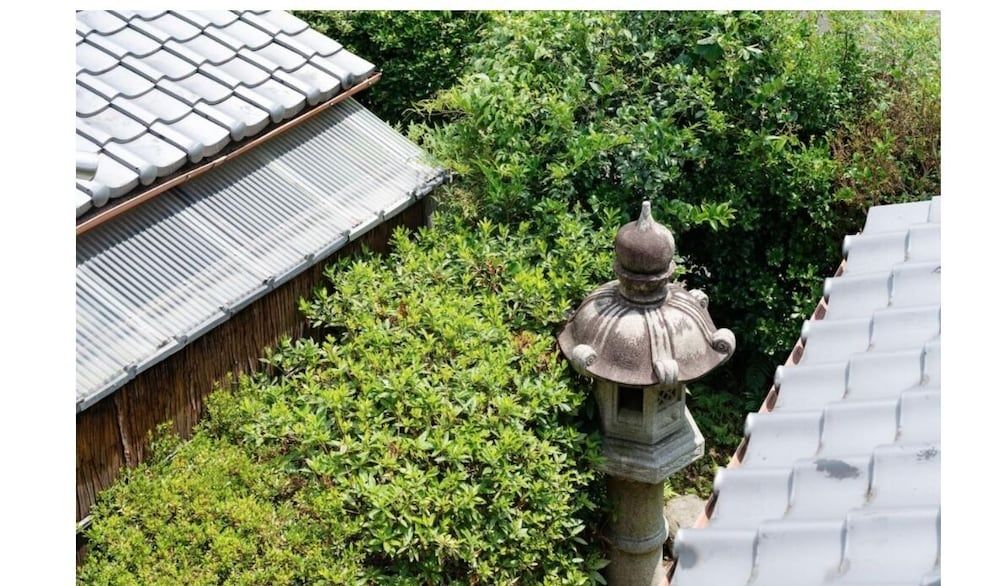 undefined Shizuku Ann 2