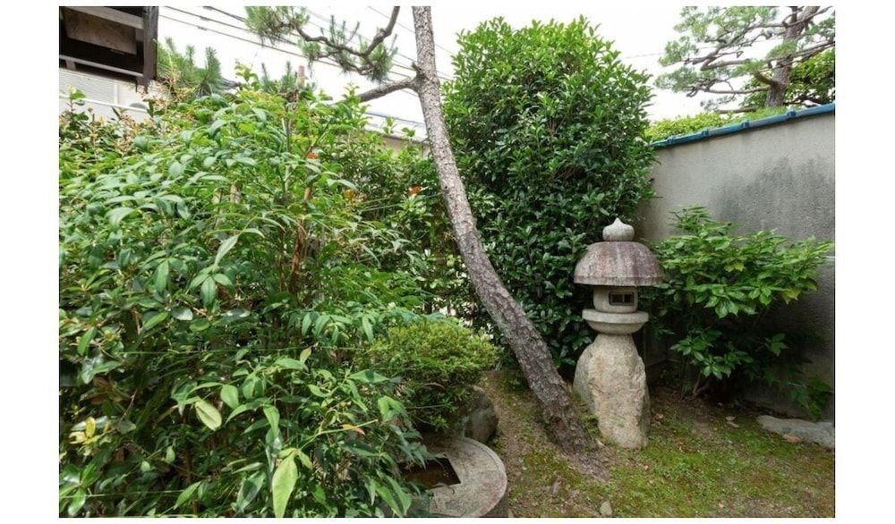 undefined Shizuku Ann 5