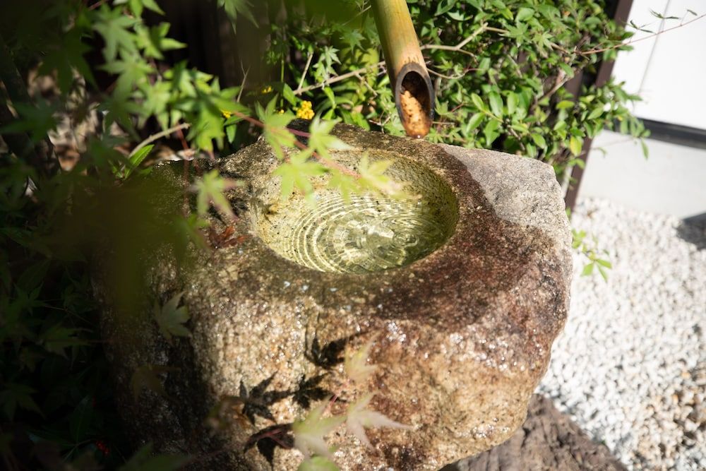 undefined Onya Kaede 3