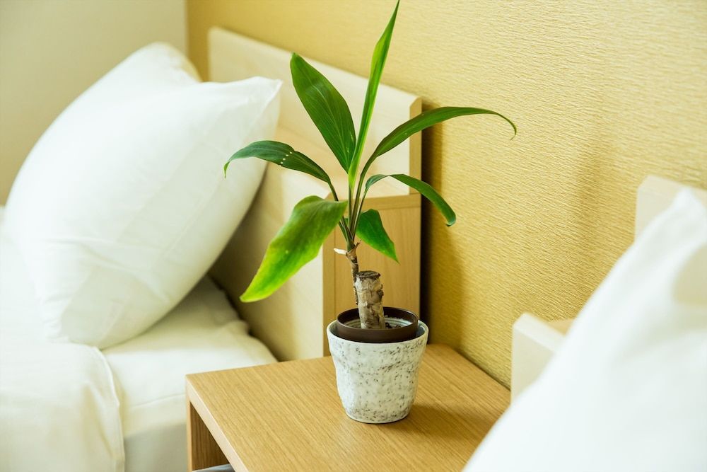 undefined Oyado Toshi 6