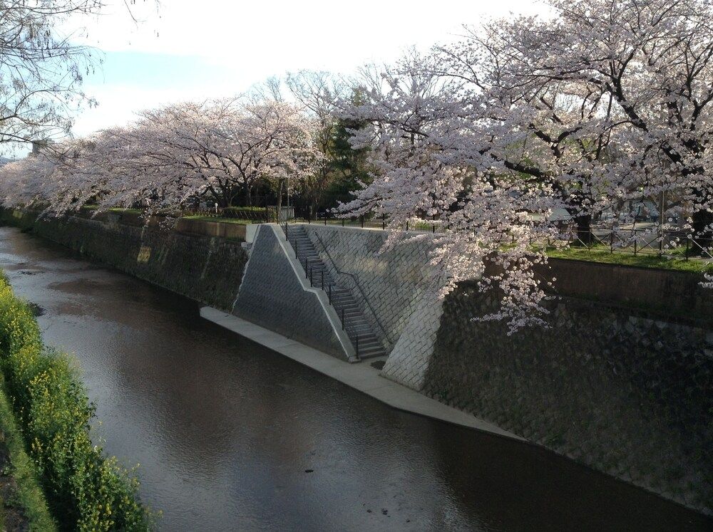 City View from Property