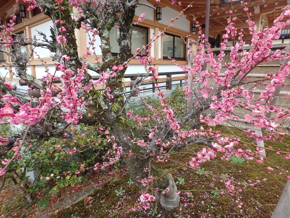 undefined Kyo no Yado Nishioji inn 8