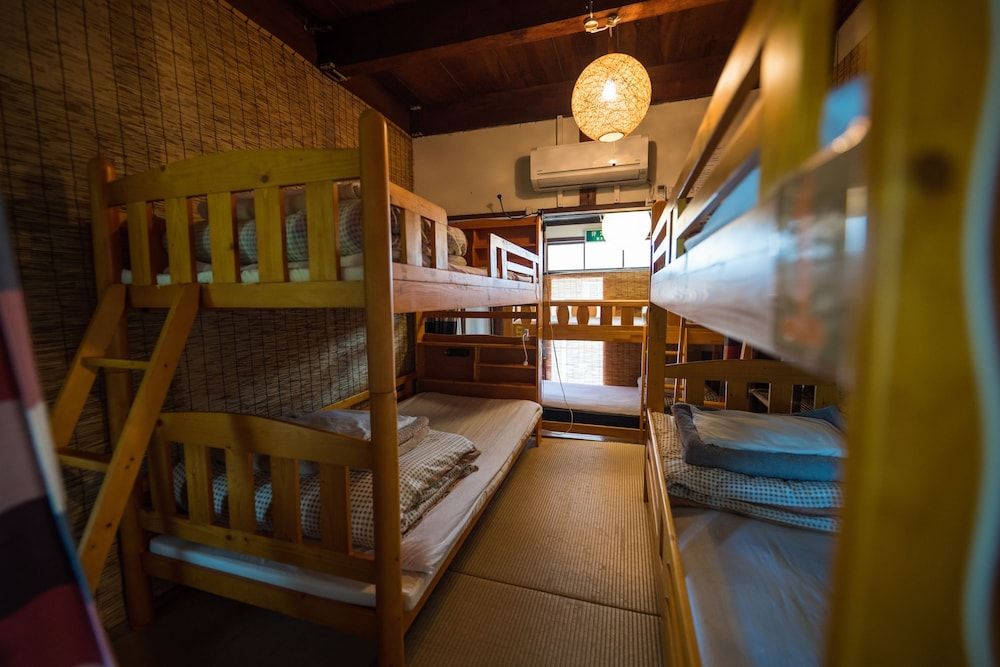 Bunk Bed in Mixed Dormitory