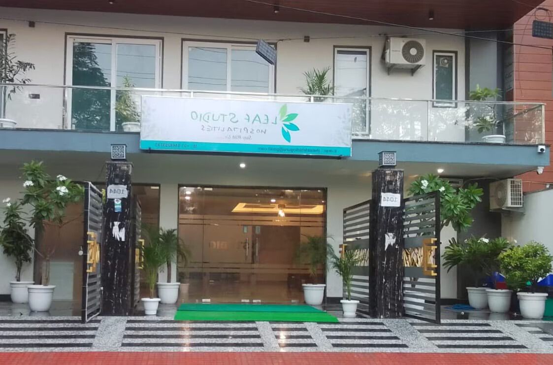 undefined The Leaf Studio 6