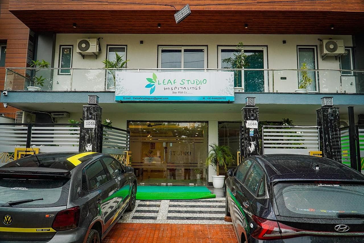 undefined The Leaf Studio 7