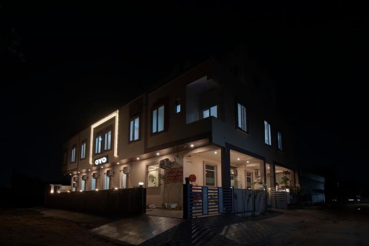 undefined Hotel Palm Tree 6