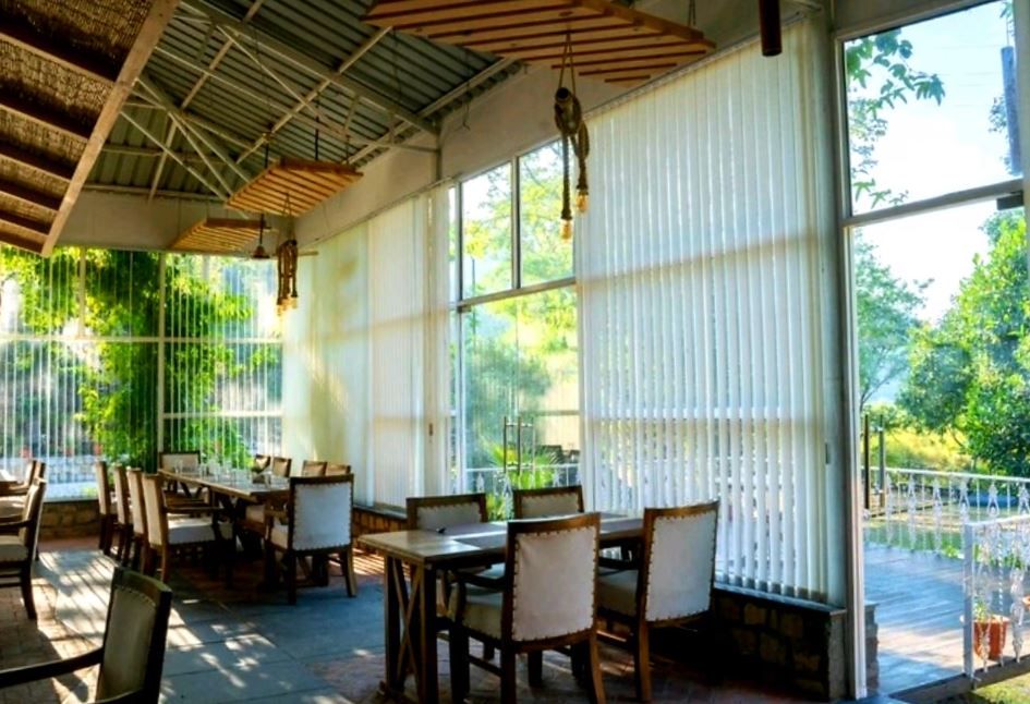 Food & Dining