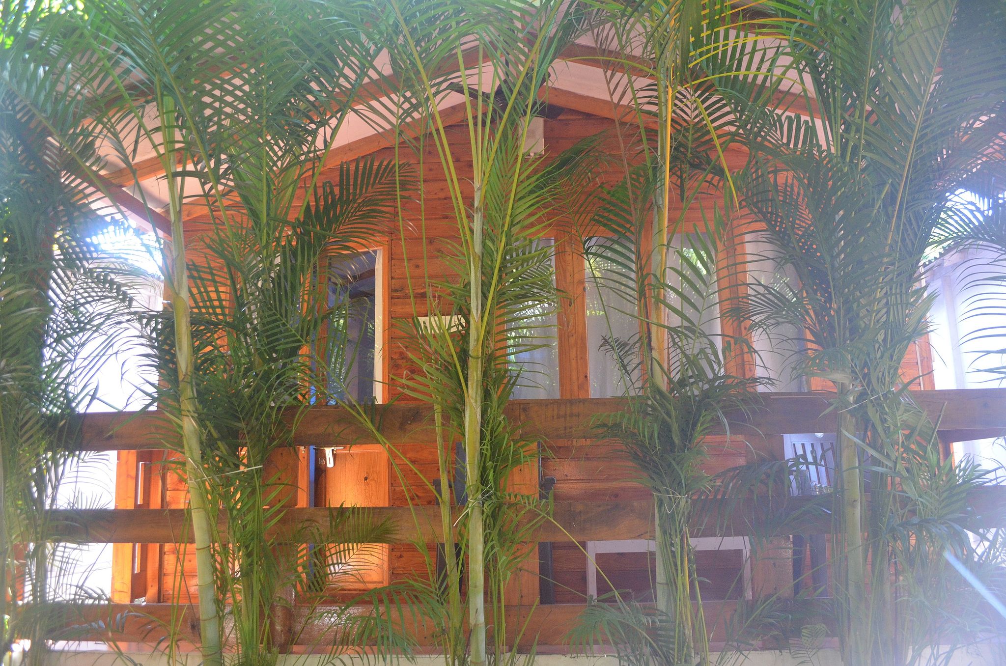 Anand Yoga Village Deluxe Triple Room 3