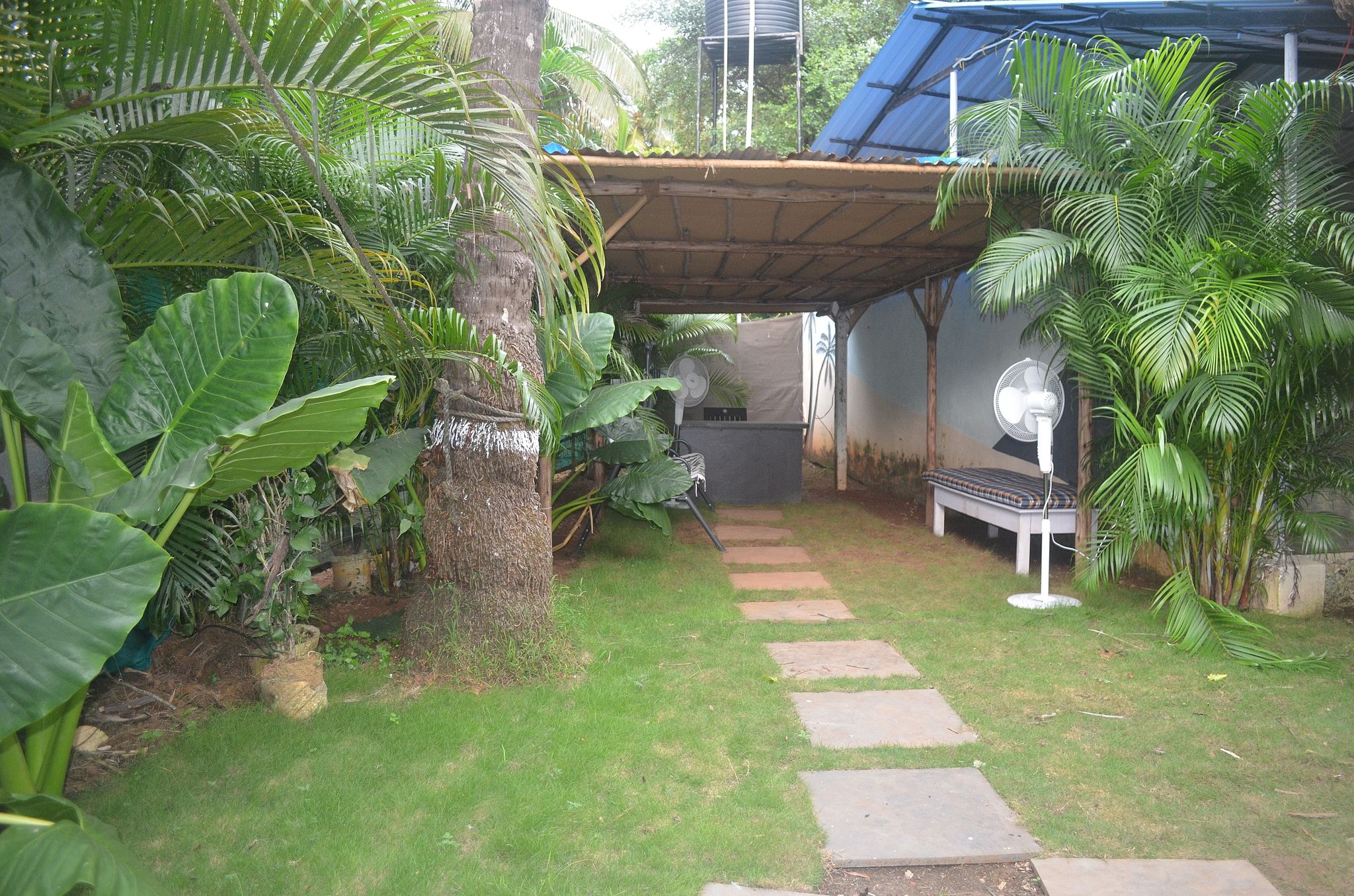 Outdoors