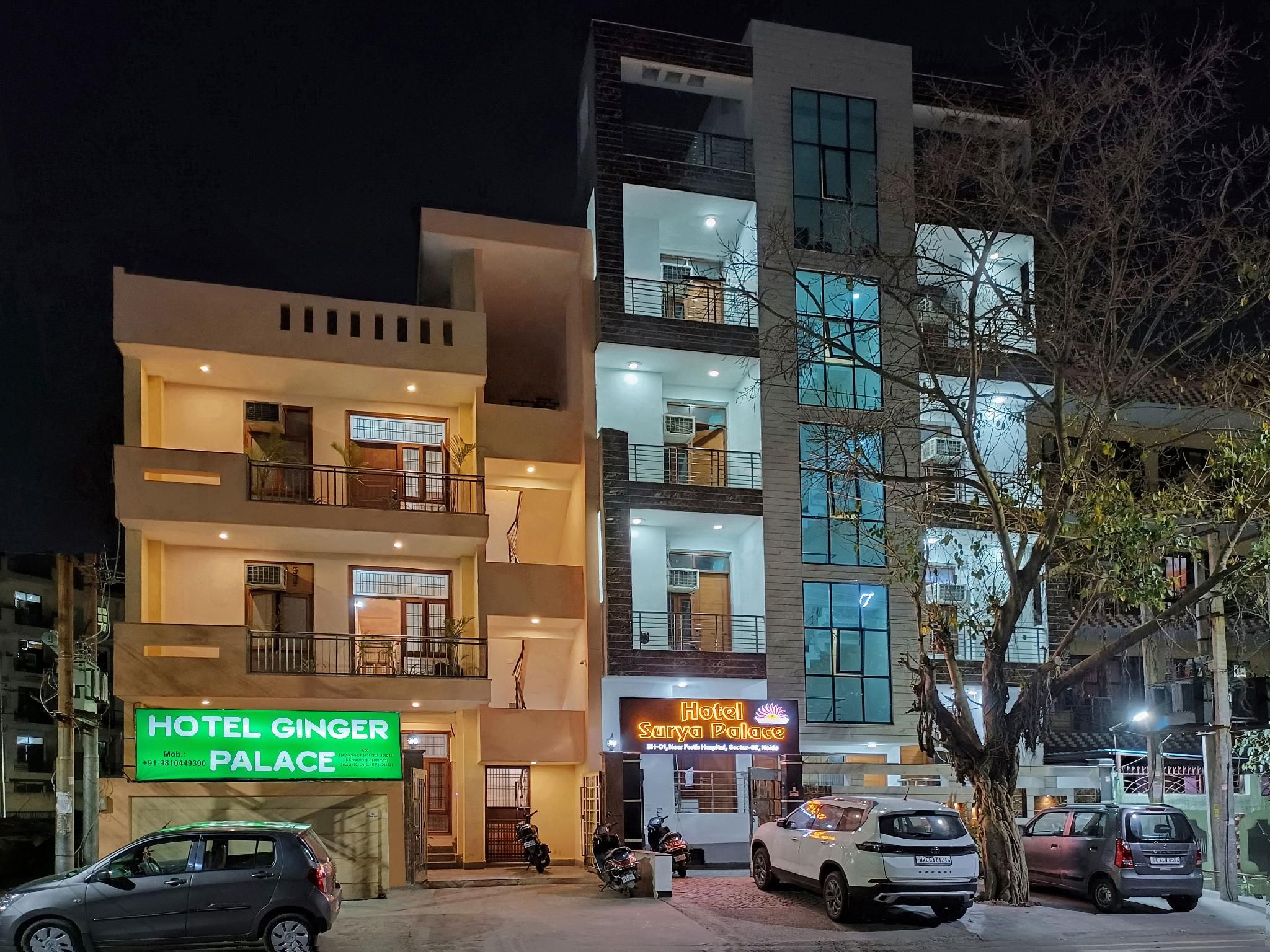 undefined Hotel Ginger Palace 10