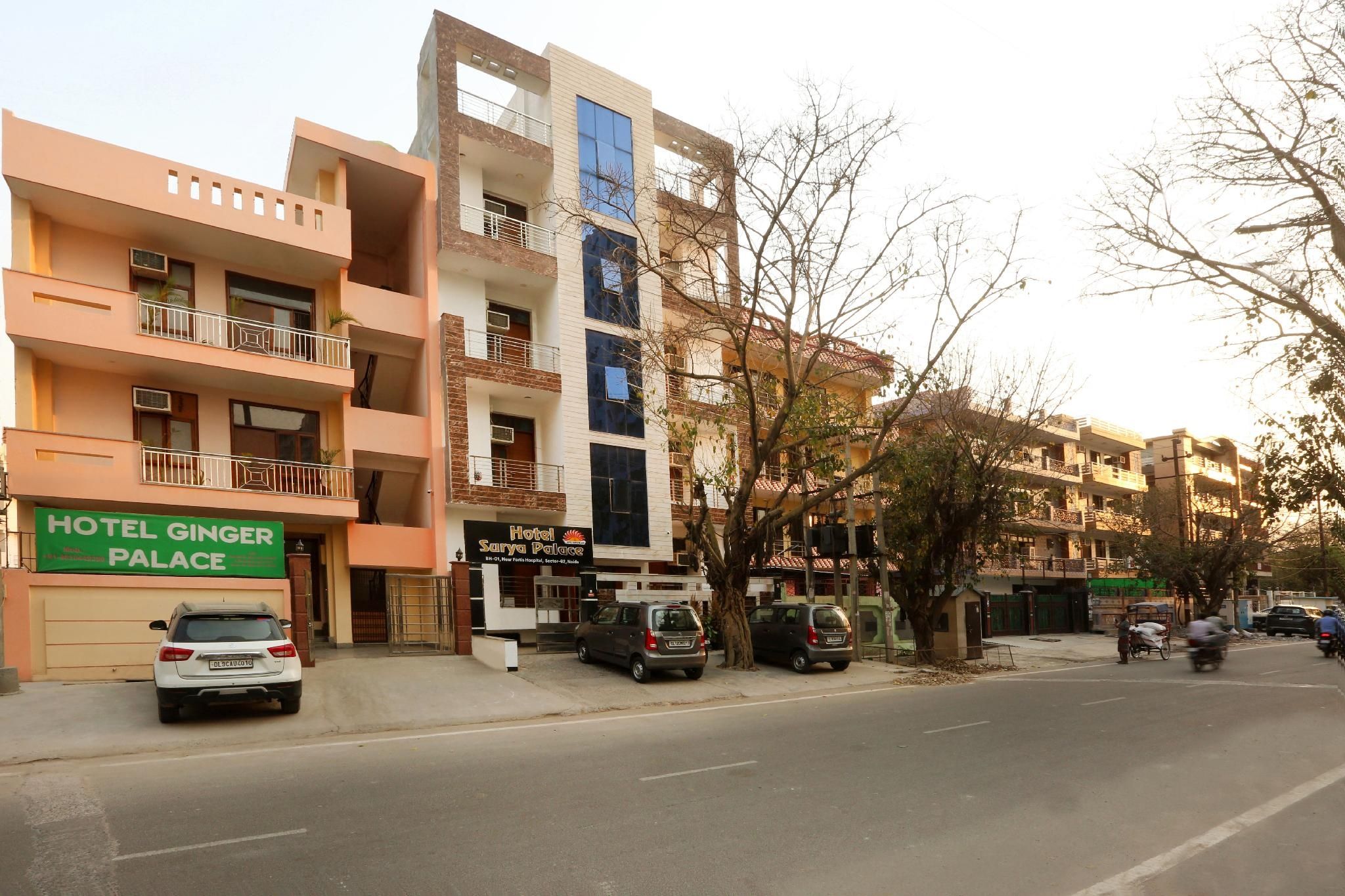undefined Hotel Ginger Palace 7