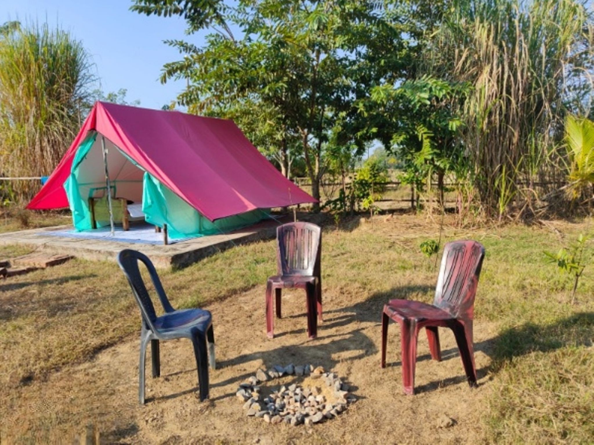 undefined Homocation Changghar Kaziranga 9