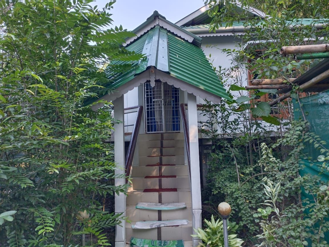 undefined Homocation Changghar Kaziranga 3