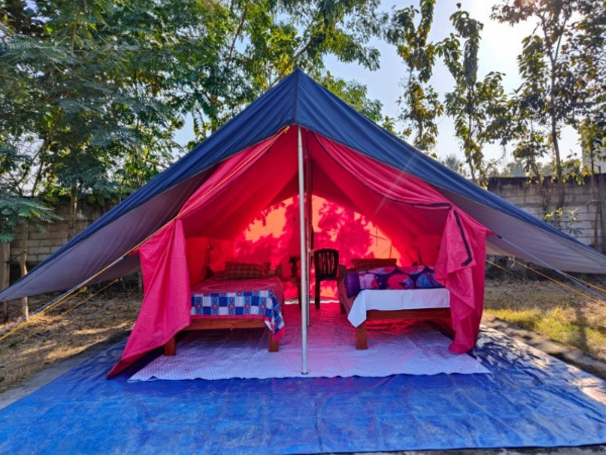 undefined Homocation Changghar Kaziranga 10