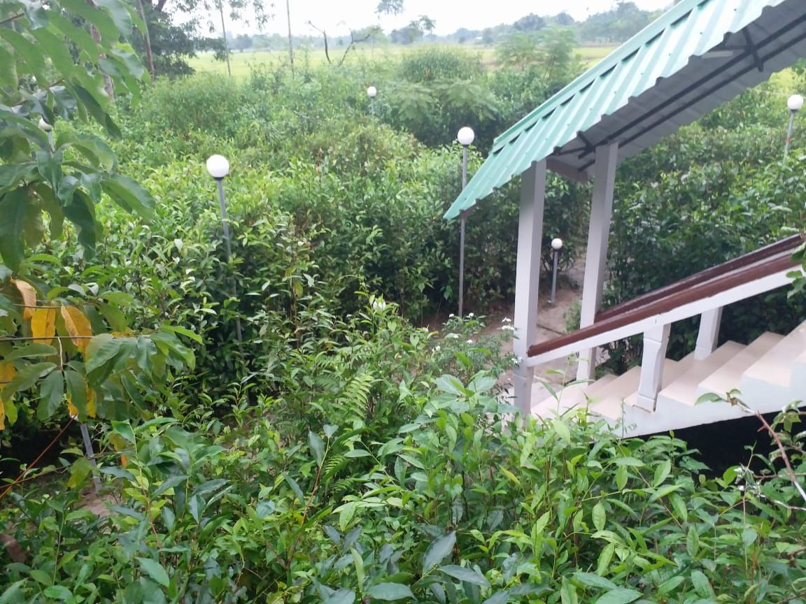 undefined Homocation Changghar Kaziranga