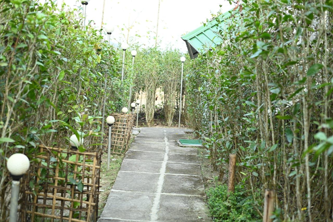 undefined Homocation Changghar Kaziranga 8