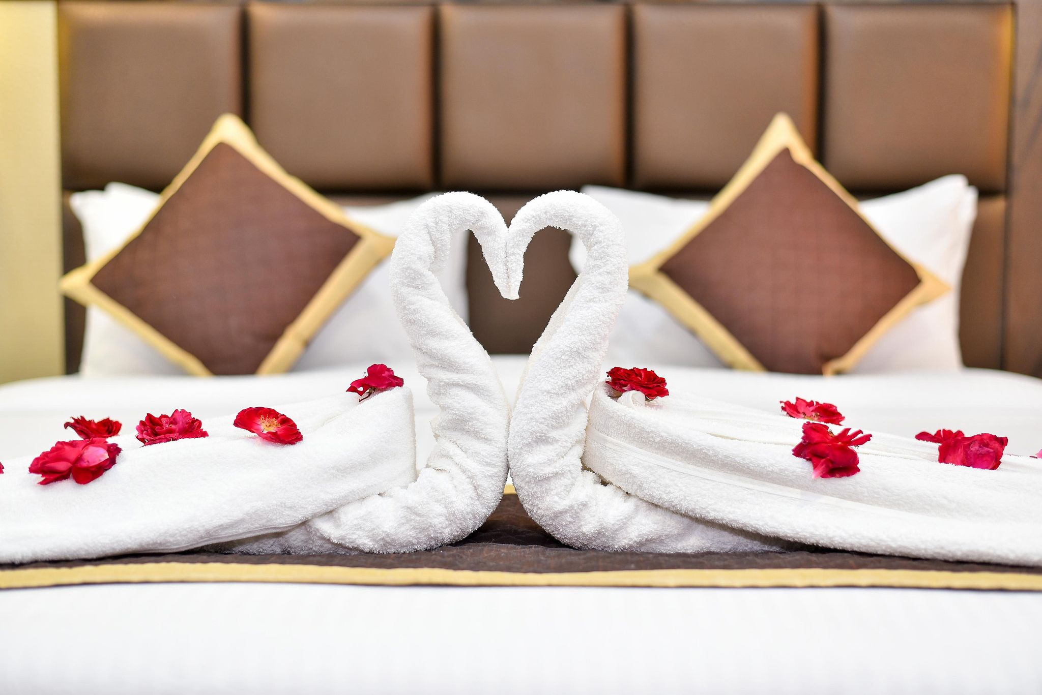 Hotel SunCity Plaza Deluxe Room 3