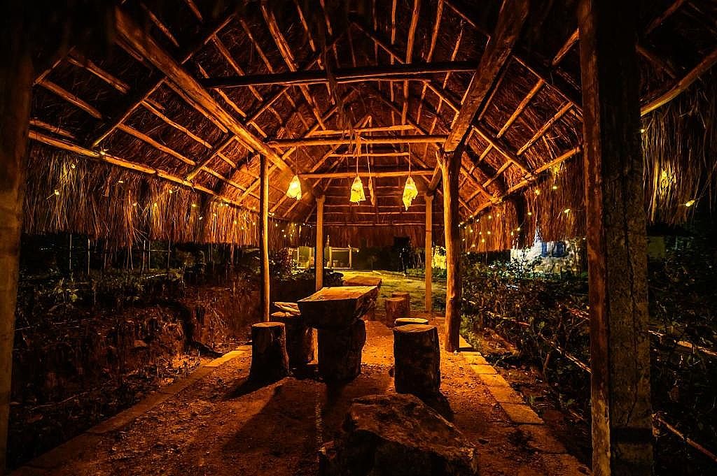 image_4265780_d7f66165-a3d5-4d6f-a277-f6422a41840e_proc