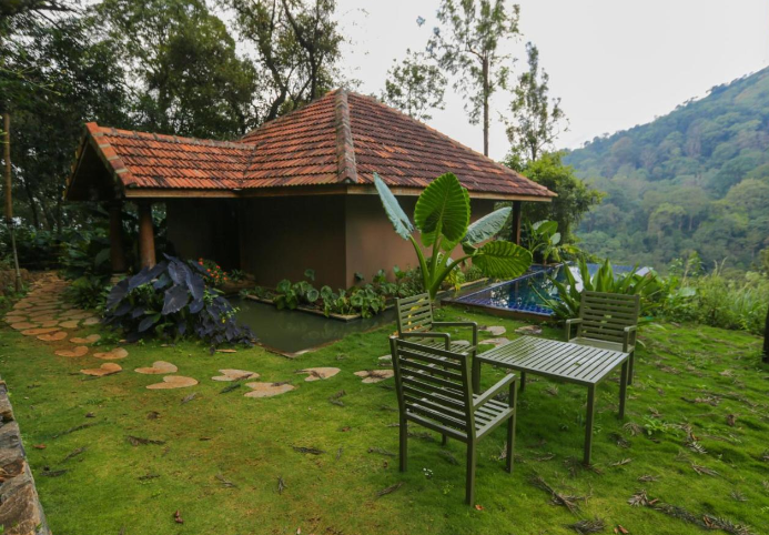 image_4265784_3be77084-40a7-4a94-82fe-36056c290c41_proc