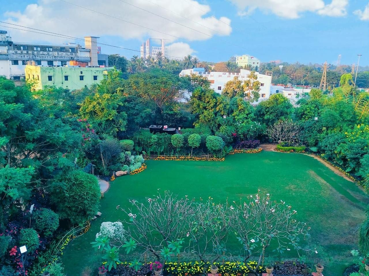 Garden