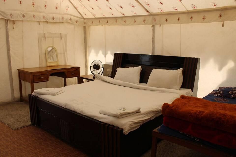 Tree House Room