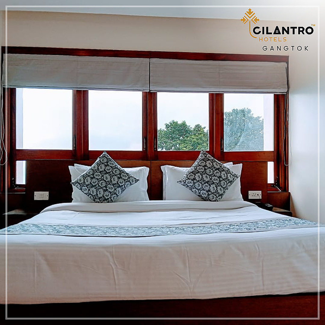 Cilantro Unwind Delisso Abode, Gangtok The Classic