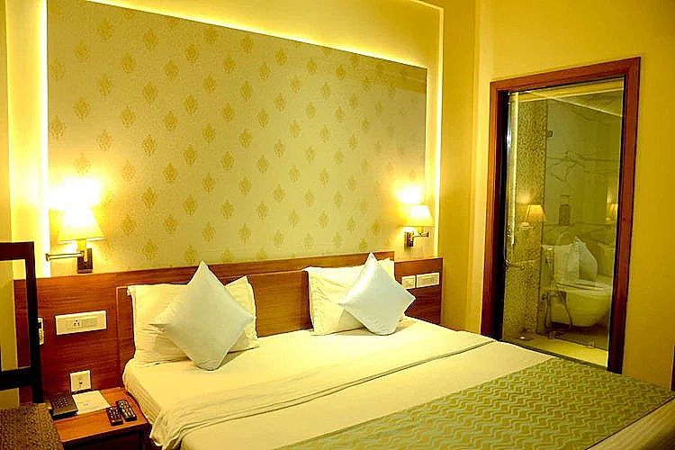 Hotel Shalimar Palace Deluxe Room 2