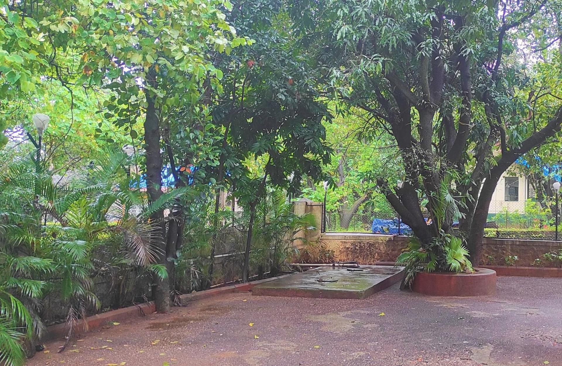 Surrounding environment