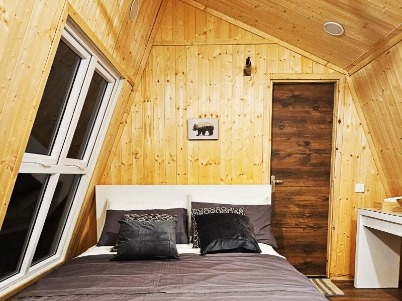 Queen Room with View