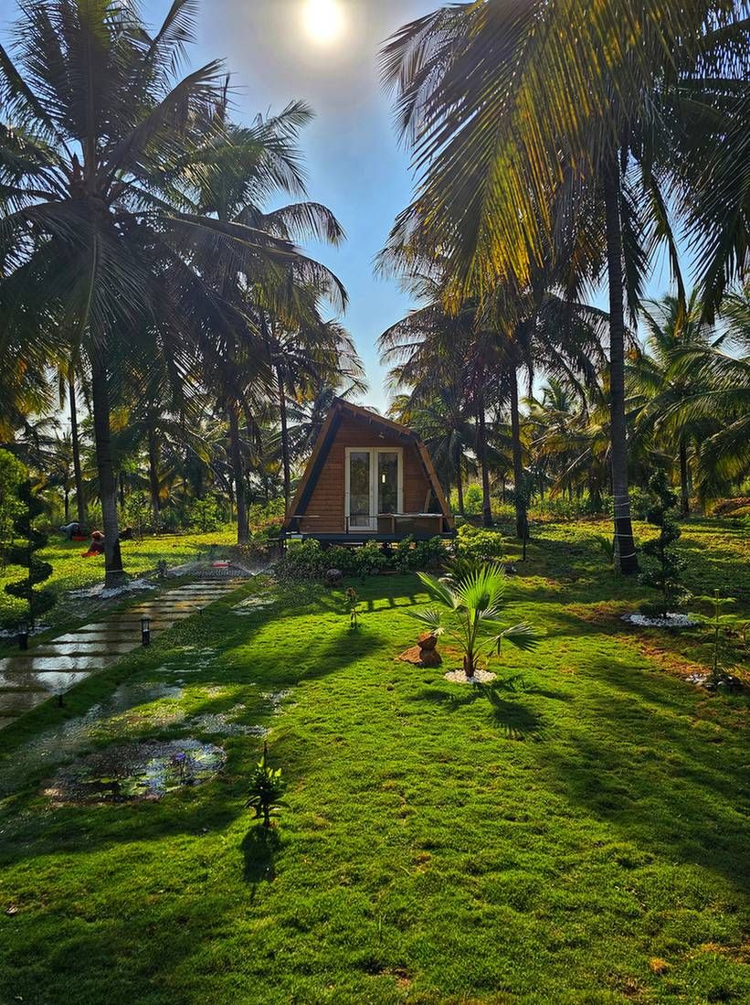 The Glampies Ixora 3