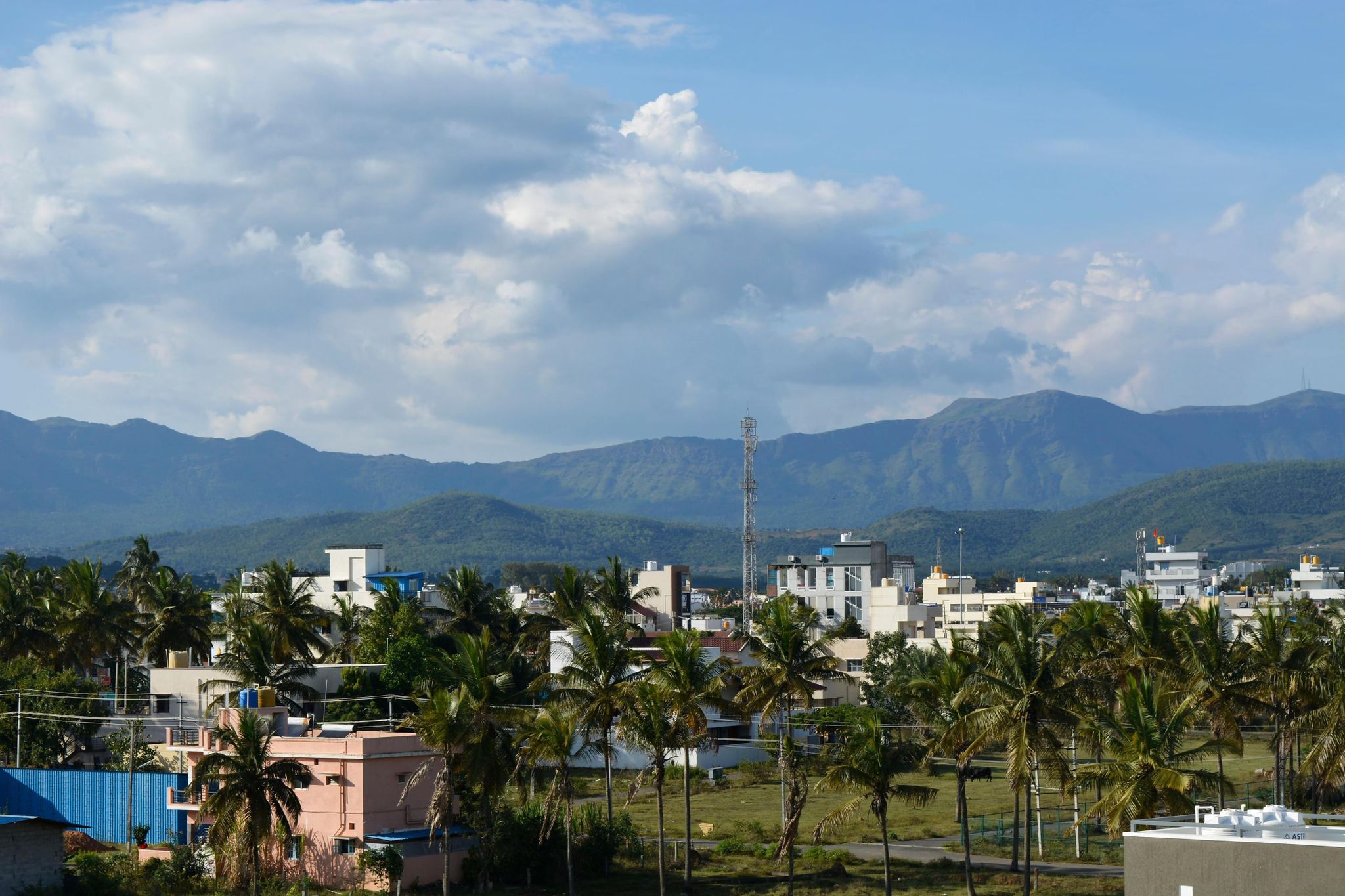 Hotel View