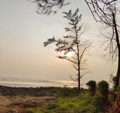 Mana Beach Resort
