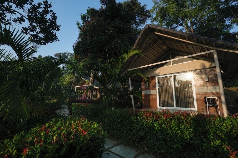 Garden view