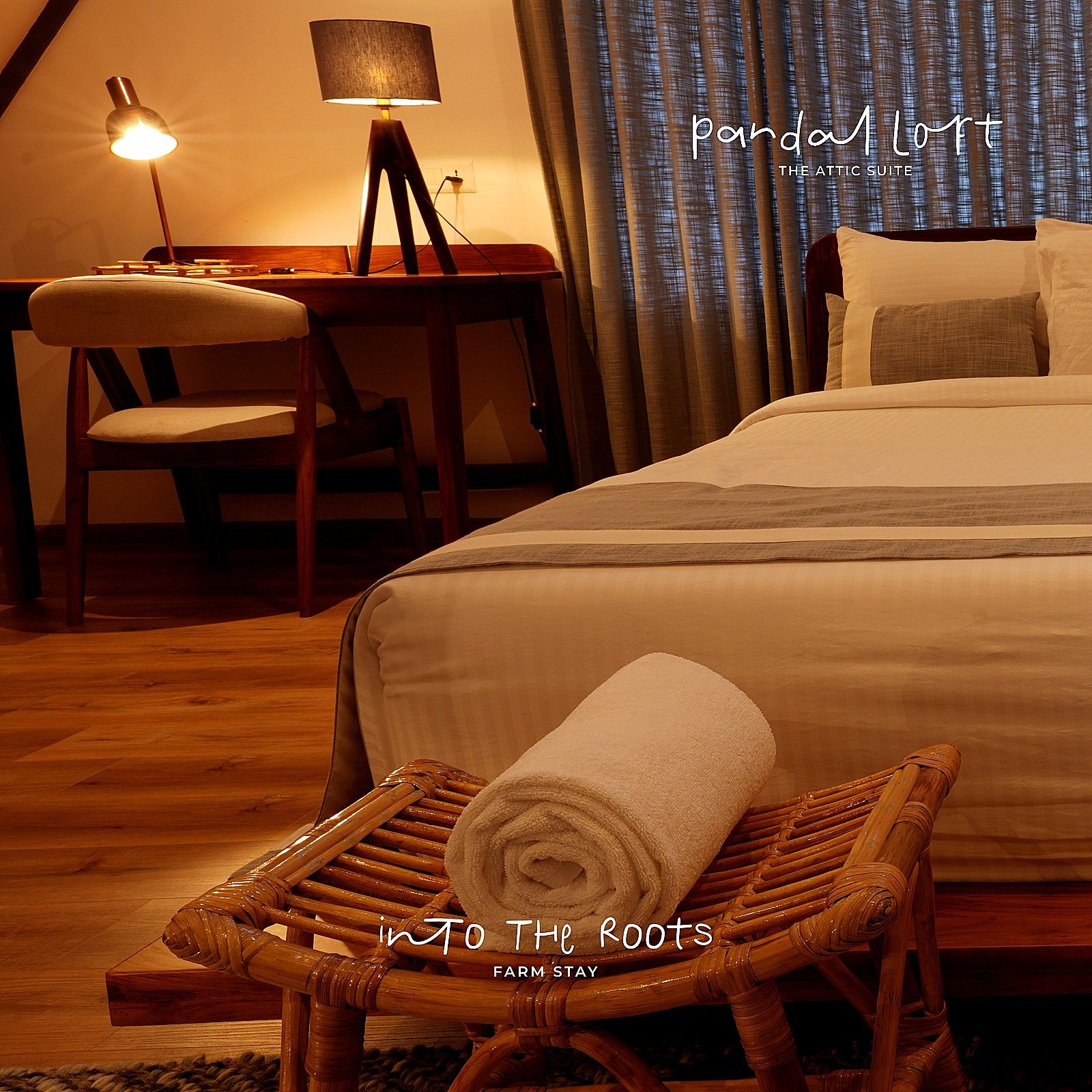 image_4271081_79dc0c77-5719-4d2f-a7c4-aa4d46f33c1f_proc