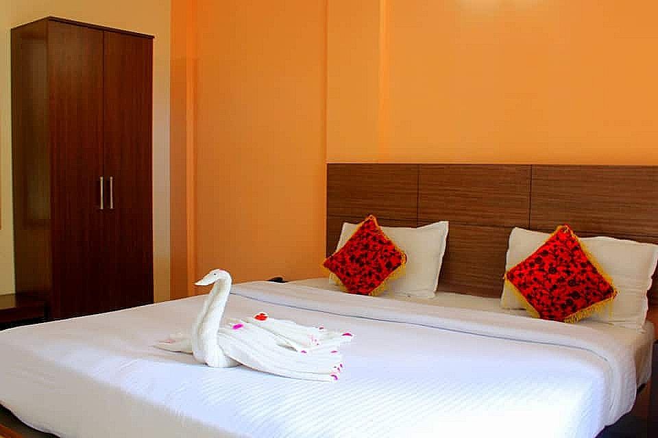 Pine Tree Munnar Red Pine 4