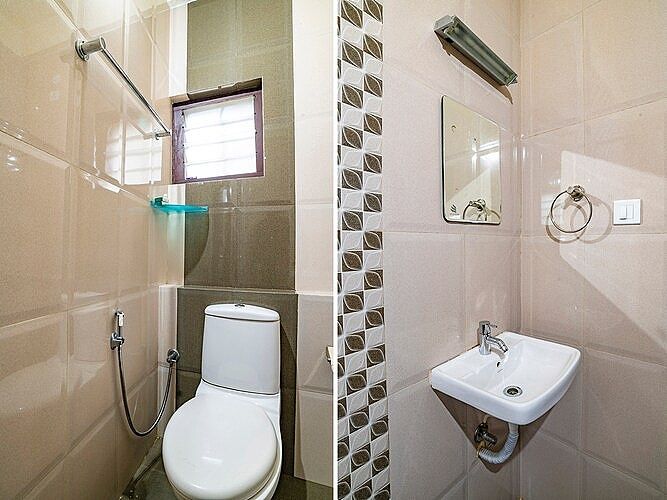 Pine Tree Munnar Red Pine 8