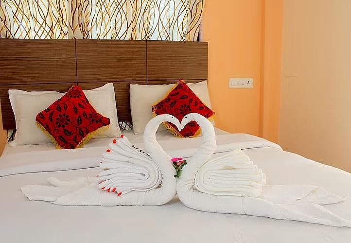 Pine Tree Munnar Red Pine