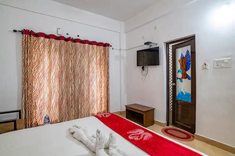 Pine Tree Munnar Red Pine 3